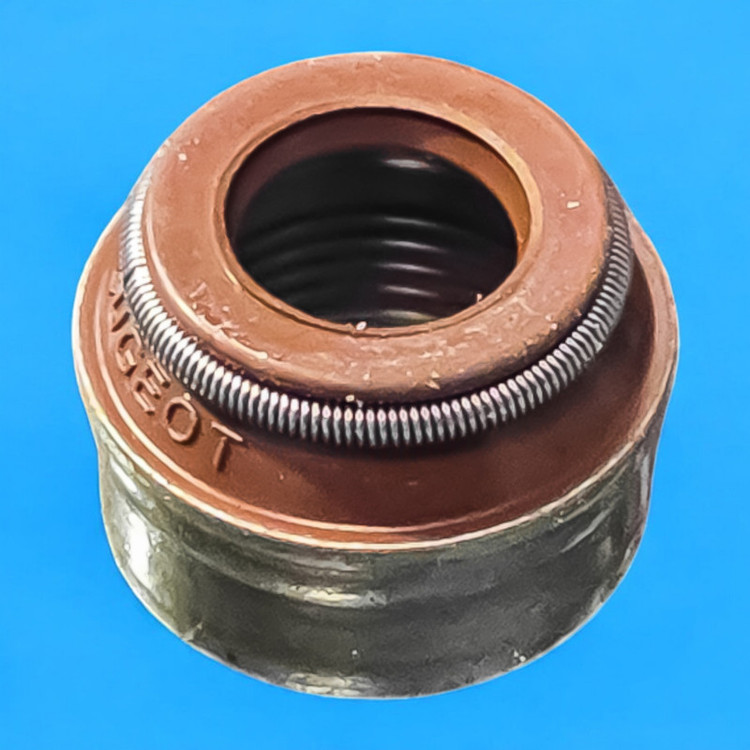 کاسه نمد ساق سوپاپ ویژن مدل XU7.XU7P.XUM مناسب برای پژو 405 بسته 8 عددی