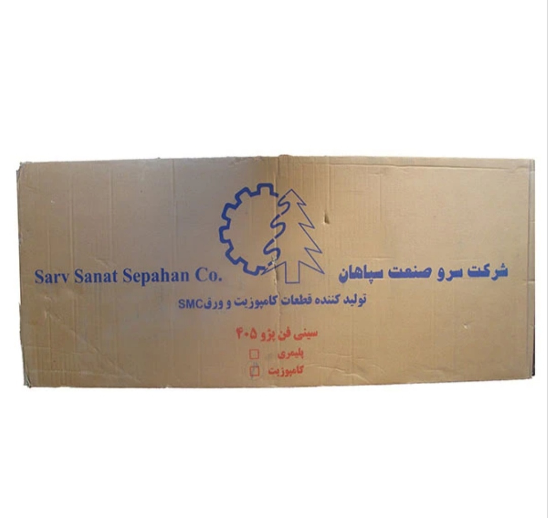 سینی فن پژو405
